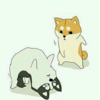 doge񷳹qqͷͼƬ