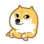 doge񷳹qqͷͼƬ ɰЦdogeȮͷ