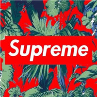 supremeͼƬͷ