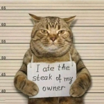 i ate the steak of my ownerèͼƬͷ