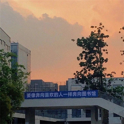 insȦ羰ͷ