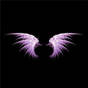 天使微信头像翅膀图片