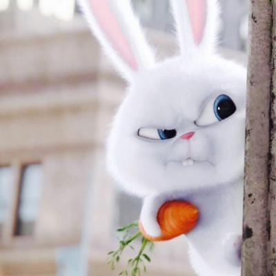 爱宠大机密兔子图片头像 超萌可爱的爱宠机密兔子头像高清