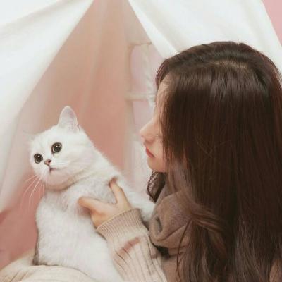 qq头像猫咪女生漂亮好看带猫抱猫可爱女生头像图片