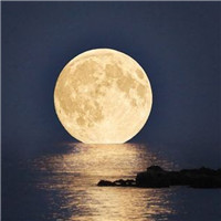明月微信头像图片