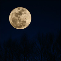 月亮图片唯美头像图片
