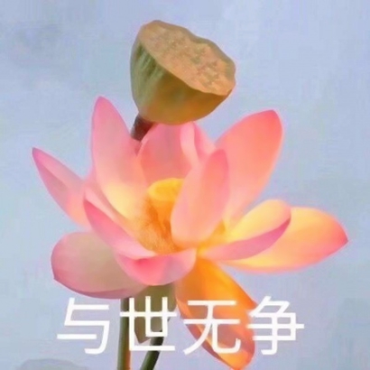 莲花头像带字图片大全 高清好看的带字莲花头像图片头像