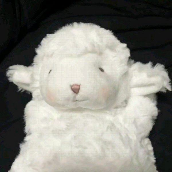 小羊娃娃头像图片