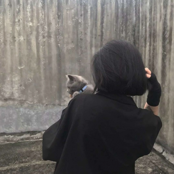 猫在女生肩上的头像图片