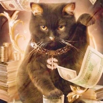 钞票中的猫图片头像美元钞票中的土豪猫咪