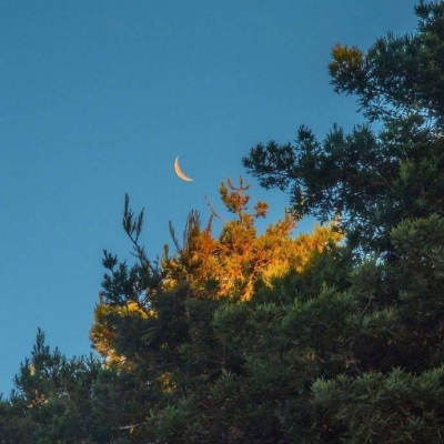 高清唯美的白天月亮风景图片头像