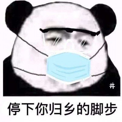 口罩熊猫头表情包头像 最近流行的熊猫头戴口罩表情包头像