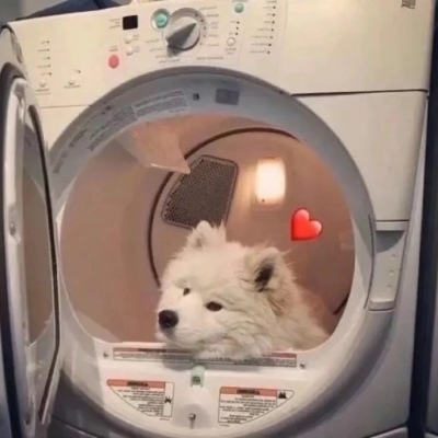 可爱搞笑的洗衣机情头图片一人一猫