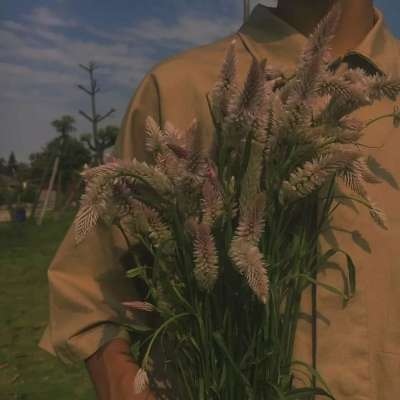 拿花部位男头高清文艺干净男生手拿花头像图片