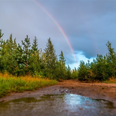彩虹自然风景头像图片