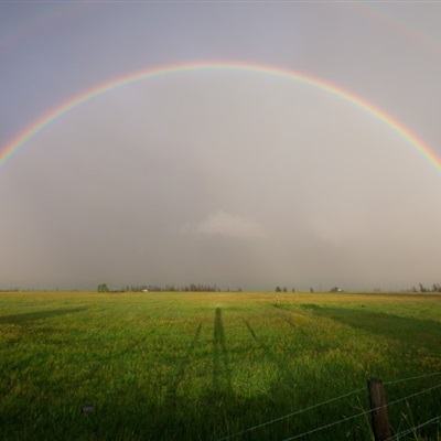 风雨彩虹的微信头像图片