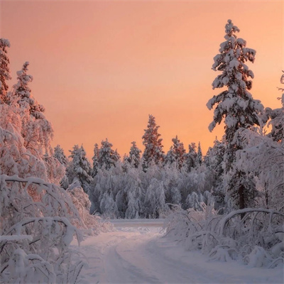 冬天的景色头像图片